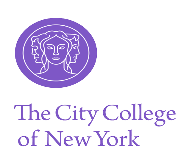 The City College